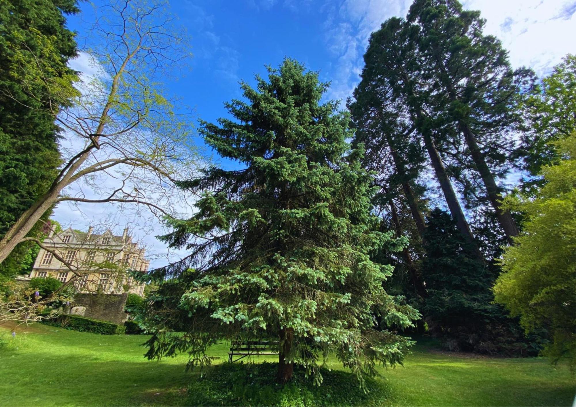 The Hall - Historic Grade I-listed Jacobean Mansion Bradford-On-Avon
